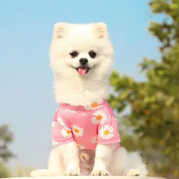 Pes, Mačka Oblečenie na Jar, v Lete a na Jeseň Nové Cestovné Produkty Pet Teddy Bišonika Malé a Stredné Pes Daisy Pet Oblečenie